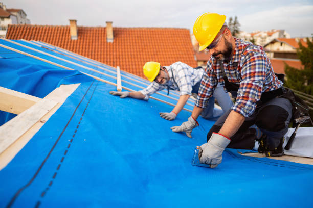 Roof Gutter Cleaning in Bothell West, WA